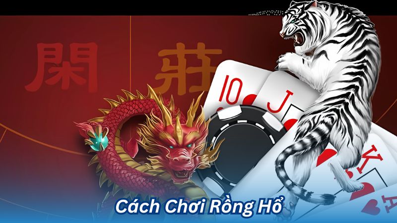 Rồng Hổ: Khám Phá Thế Giới Cá Cược Đầy Thú Vị 2 Cách Chơi Rồng Hổ