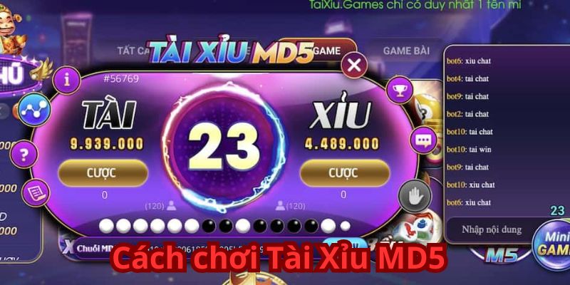 Tài Xỉu MD5 - Cơ Hội Thắng Lớn Từng Ván 6 Cách chơi Tài Xỉu MD5